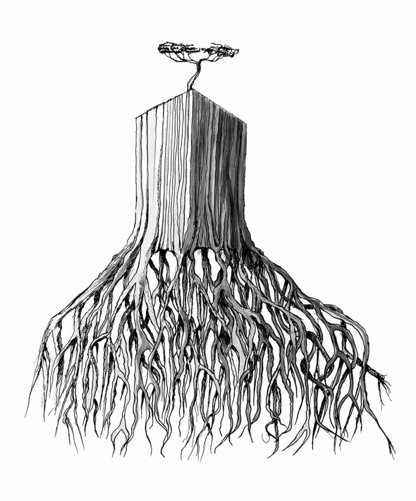 Drawing of a geometrically modified tree. Cubic trunk with root.